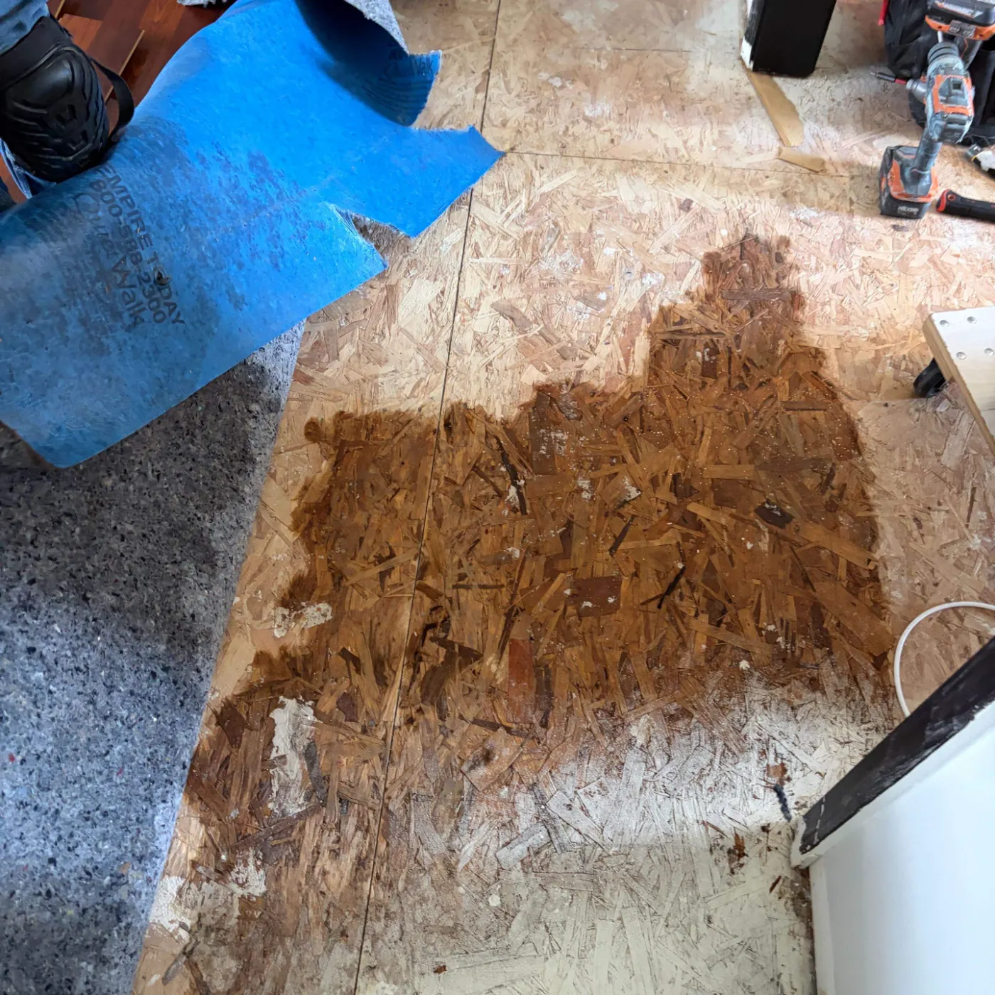 Moisture meter reading on drywall in Walden Pond water loss